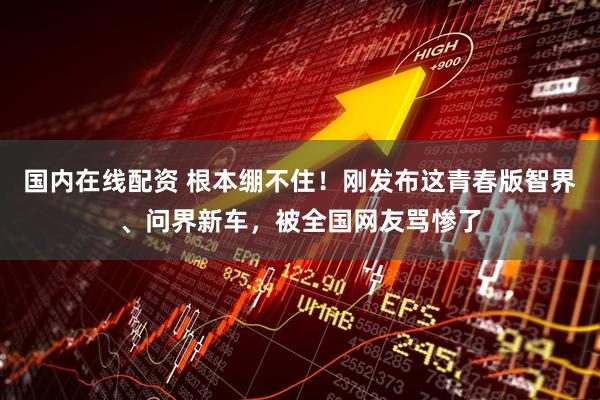 国内在线配资 根本绷不住！刚发布这青春版智界、问界新车，被全国网友骂惨了